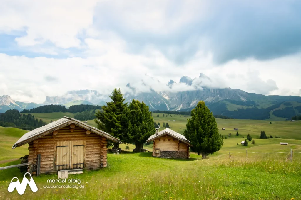 Seiser Alm mit Blick auf den Langkofel und Plattkofel, Dolomiten, Südtirol